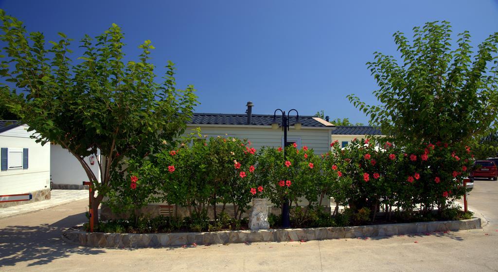 Camping Los Pinos Peñíscola Kültér fotó