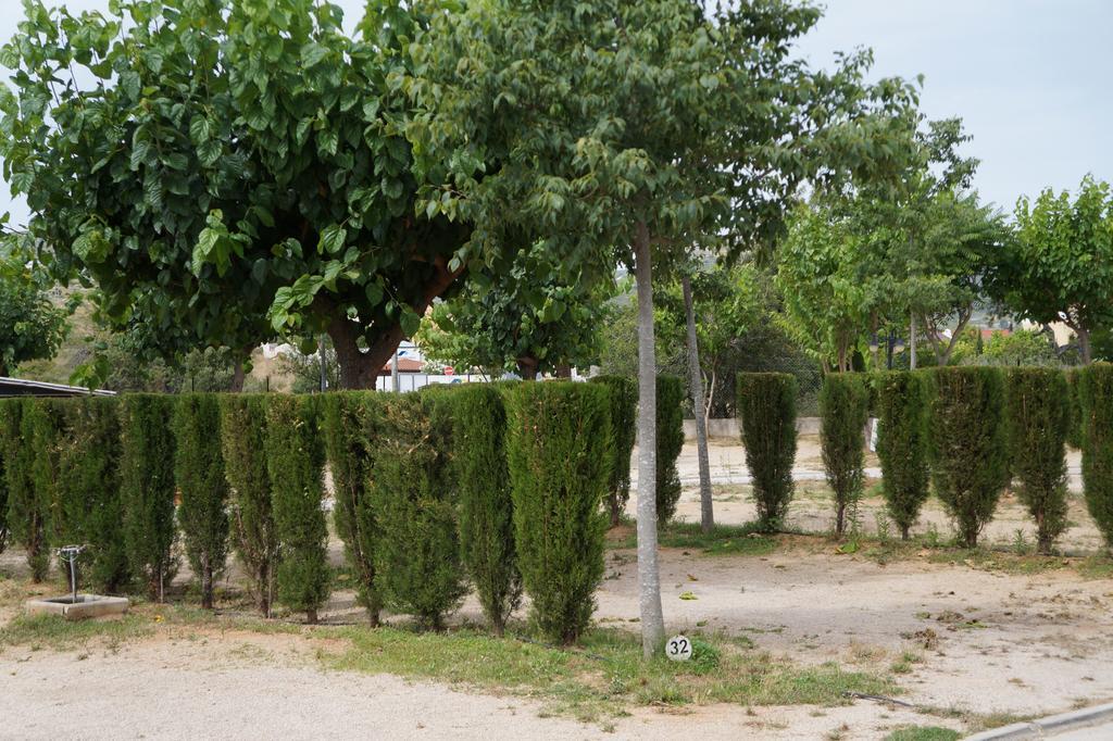 Camping Los Pinos Peñíscola Kültér fotó